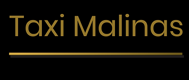 Taxi Malinas logo